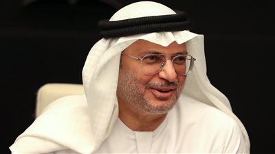 قرقاش يؤكد استمرار الدعم الإماراتي لأهل غزة