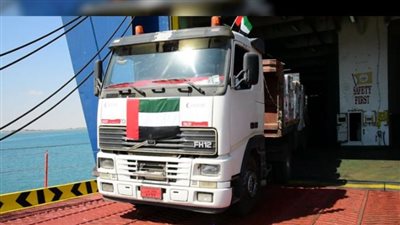 لماذا استثمرت الإمارات في جزيرة ميون الجنوبية؟  (فيديوجراف)