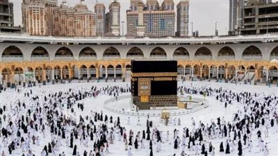 استعلم الآن تأشيرة العمرة برقم الجواز.. الشروط 