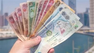 سعر الدرهم الإماراتي في البنوك المصرية اليوم 31 مارس 2024