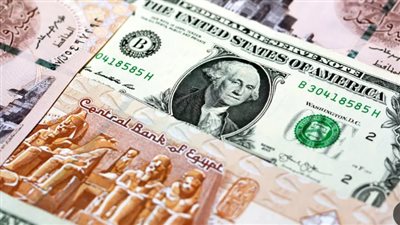 أستاذ اقتصاد وتمويل: أزمة شح الدولار 