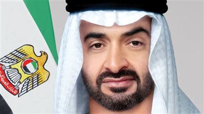 الرئيس الإماراتي وأمير قطر يؤكدان العمل على منع توسيع الصراع في الشرق الأوسط