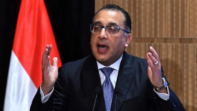 الحكومة المصرية: تحديد سعر كرتونة بيض المائدة بـ145 جنيها اعتبارا من الغد