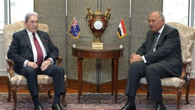 وزير الخارجية يبحث مع نظيره النيوزيلندي سبل وقف الحرب في غزة 