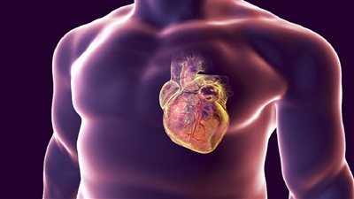 مكون شائع في المطبخ.. دراسة تحذر مرضى القلب.. ما القصة؟