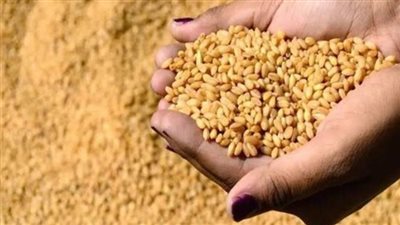 حكم إخراج زكاة الفطر عبر الجمعيات الخيرية