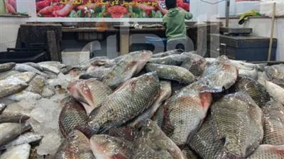  سعر السمك البلطي اليوم الأحد 7 أبريل 2024