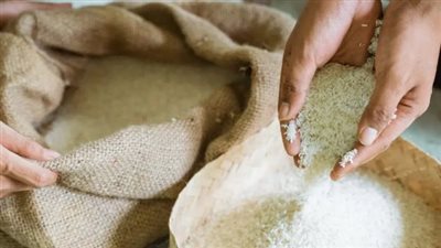 من لا يجب عليه دفع زكاة الفطر؟