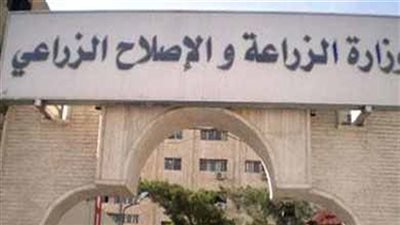 اليوم.. وزارة الزراعة المصرية تطلق المنافذ المتحركة لبيع كرتونة البيض بـ 140 جنيها