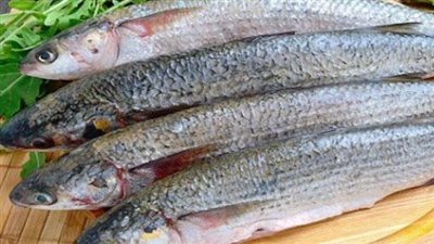 طريقة تنظيف الفسيخ فى عيد الفطر 