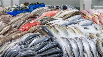 وفقًا لأسعار سوق العبور Obour market.. أسعار الأسماك اليوم السبت 13 أبريل 2024 