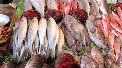 أسعار السمك خلال تعاملات اليوم الأحد 14-4-2024