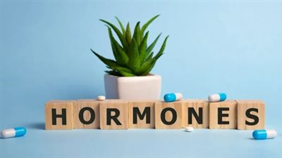 علاج طبيعي لتنظيم هرمونات الجسم.. 7 عادات يومية لنمط الحياة الصحي