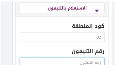 كيفية الاستعلام عن فواتير التليفون الأرضي بالاسم والرقم 2024