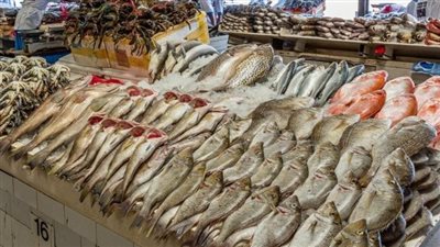  أسعار السمك اليوم الإثنين 15 أبريل 2024.. البلطي الصغير بين 70 و73 جنيهًا للكيلو