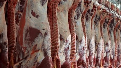 أسعار اللحوم اليوم 15 أبريل 2024