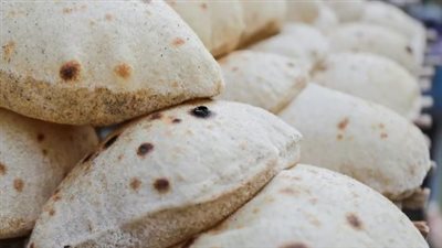 أسعار الخبز السياحي 2024 بعد التخفيض
