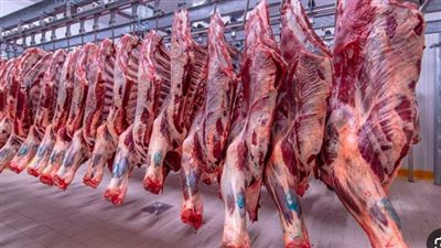  أسعار اللحوم اليوم الأحد 21 أبريل 2024.. كيلو اللحم الجملى ما بين 300 و320 جنيهًا