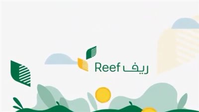 السعودية.. رابط التسجيل في دعم الريف للنساء 1446