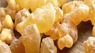 فوائد شرب منقوع لبان الدكر.. هل يناسب الحوامل؟ 