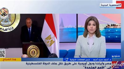  خبير علاقات دولية عن السبيل الوحيد لتحقيق الأمن والاستقرار بالمنطقة: إقامة دولة فلسطينية (فيديو)