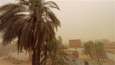 عاصفة ترابية شديدة تضرب أسوان وسط تحذيرات من الأرصاد 