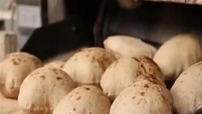  موعد العمل بكارت الخبر الجديد.. وخطوات استخراجه 