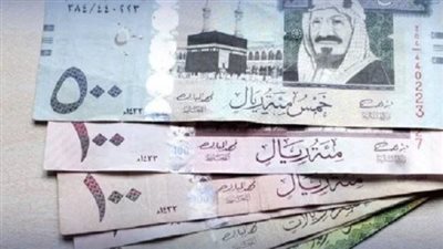 سعر الريال السعودي في البنك المركزي المصري اليوم 27 أبريل 2024