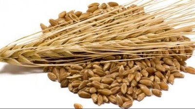 فوائد الشعير المغلي للكلى.. مشروب ذهبي مذهل لهذه الأسباب