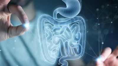 عوامل تساهم في تحسين صحة الجهاز الهضمي