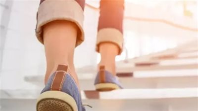 هل صعود “السلم” يقلل مخاطر الإصابة بأمراض القلب؟.. دراسة توضح 