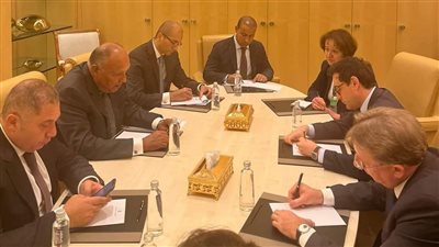 وزير الخارجية لنظيره الفرنسي: يجب تعزيز الاعترافات بالدولة الفلسطينية