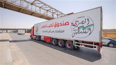 115 شاحنة من صندوق تحيا مصر محملة بأكثر من 1840 طن مساعدات تصل غزة