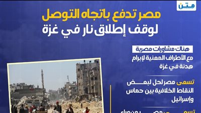 مصر تدفع باتجاه التوصل لوقف إطلاق نار في غزة (إنفوجراف)