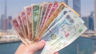 سعر الدرهم الإماراتي أمام الجنيه المصري اليوم الخميس 2 مايو 2024