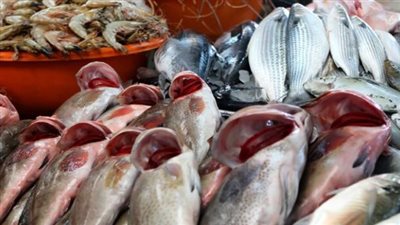 أسعار السمك والجمبري اليوم 4_ 5_ 2024