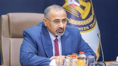  الزُبيدي: نحن دعاة سلام وسنواصل دعمنا لكافة الجهود الإقليمية والدولية الهادفة لإحلاله 