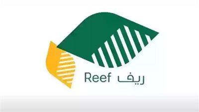 خطوات الاستعلام عن دعم ريف.. والشروط (لينك)