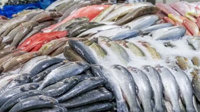  أسعار السمك Fish والجمبري اليوم 5 مايو 2024.. البلطي الكبير يتراوح بين 53 و59 جنيهًا للكيلو