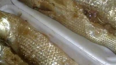 أسعار الفسيخ والرنجة في منافذ وزارة الزراعة