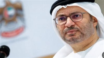 في ذكرى توحيد القوات المسلحة ببلاده... قرقاش: حجر الأساس لأمن واستقرار الدول هو كفاءة واحترافية جيشها