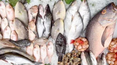  داخل سوق العبور Obour market.. أسعار السمك والجمبري اليوم 7 مايو 2024 