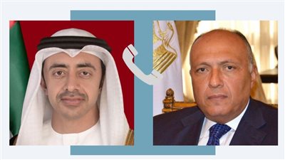 مصر والإمارات يؤكدان حتمية وقف إطلاق النار في غزة 