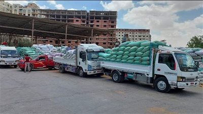  توريد 1.8 مليون طن قمح محلي حتى الآن والمستحقات خلال 48 ساعة