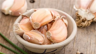 فوائد الثوم على الريق.. منافع سحرية لصحة الجسم لهذه الأسباب