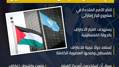 الأمم المتحدة تستعد للإعتراف بدولة فلسطين (إنفوجراف)
