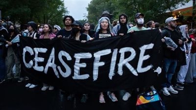 رد فعل الفلسطينيين الأمريكيين على احتجاجات الحرم الجامعي: 