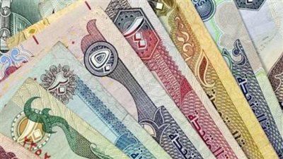  أسعار العملات العربية والأجنبية مقابل الجنيه المصري اليوم 13 مايو 2024