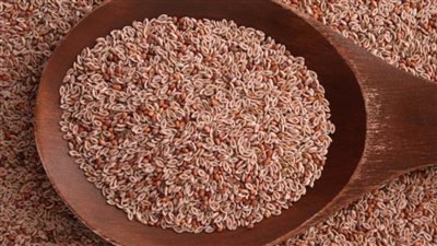 قشر السيليوم للتخسيس.. هل هى مفيدة فى عمليات الحمية؟