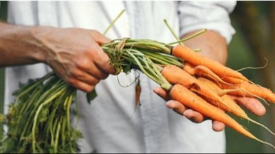 فوائد الجزر للرجال.. كيف يؤثر إيجابًا على الخصوبة؟